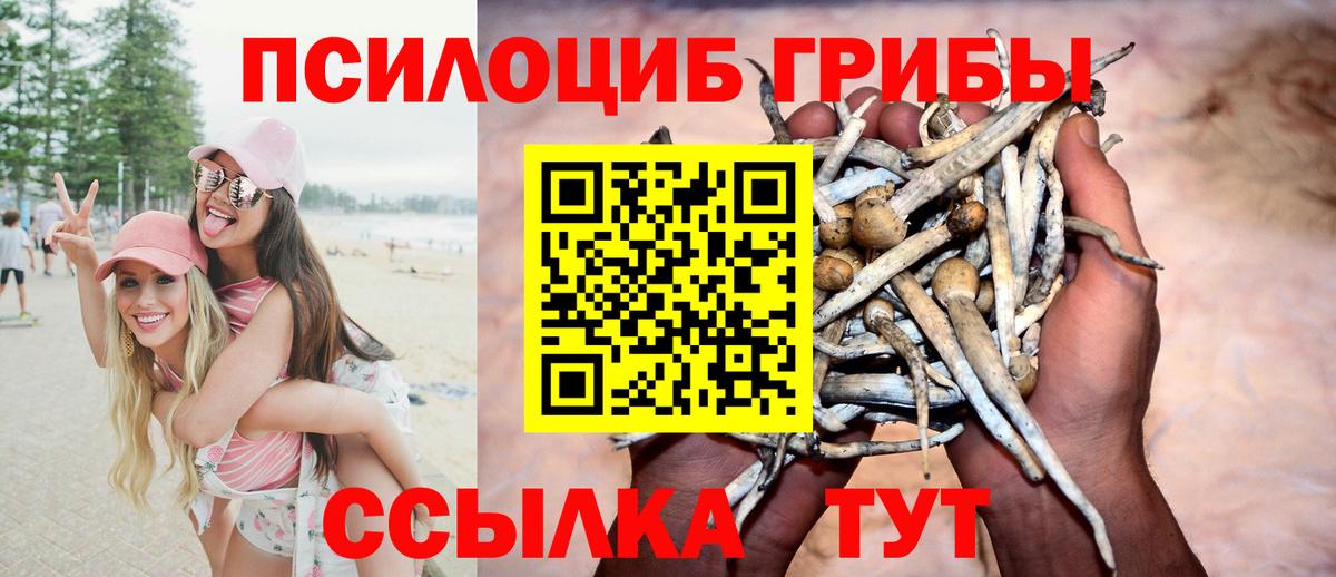 Псилоцибиновые грибы мухоморы  Галлюциногенные грибы Psilocybine cubensis  Вход с VPN  Слободской 